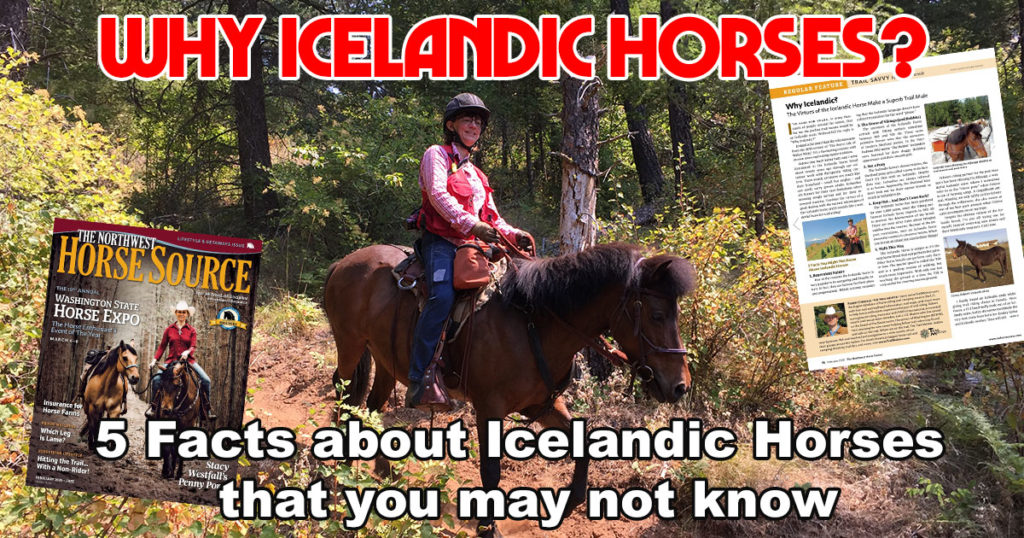 Why Icelandic Horse? Oregon Horse Council