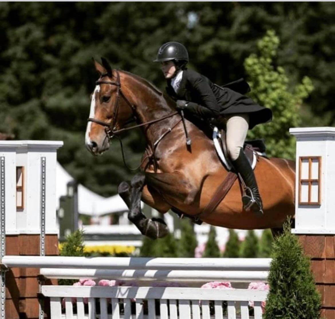 Quiet Rein Riding School has Several Nice Horses For Sale Oregon